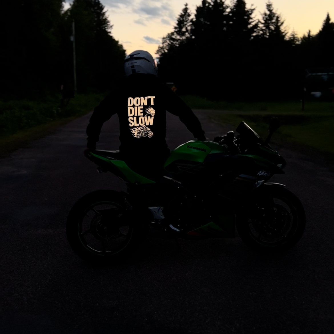 REFLECTIVE DON'T DIE SLOW HOODIE